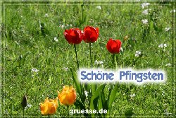 grusskarte-festtage-pfingsten-fotos-q_035