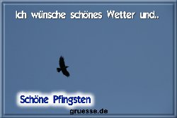 grusskarte-festtage-pfingsten-fotos-q_036