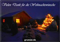 grusskarte-festtage-weihnachten-danke-b_003