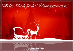 grusskarte-festtage-weihnachten-danke-b_007