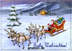 grusskarte-festtage-weihnachten-standard-b_029