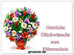 grusskarte-glueckwuensche-fuehrerschein-b_005