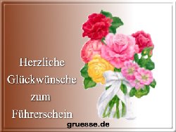 grusskarte-glueckwuensche-fuehrerschein-q_006