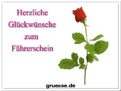 grusskarte-glueckwuensche-fuehrerschein-q_008