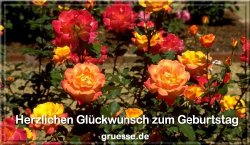 grusskarte-glueckwuensche-geburtstag-blumen-b_020