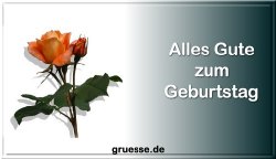 grusskarte-glueckwuensche-geburtstag-blumen-q_009