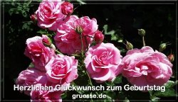 grusskarte-glueckwuensche-geburtstag-blumen-q_021