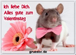 grusskarte-glueckwuensche-valentinstag-allgemein-b_012