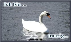 ich-bin-ich-bin-traurig_014