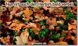 zeiten-jahreszeit-herbst_013