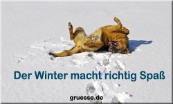 grusskarte-zeiten-jahreszeit-winter-b_022