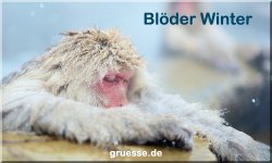 grusskarte-zeiten-jahreszeit-winter-b_024