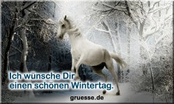 grusskarte-zeiten-jahreszeit-winter-b_025