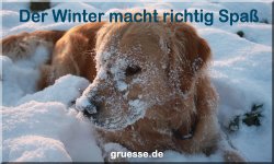 grusskarte-zeiten-jahreszeit-winter-b_030