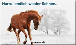 grusskarte-zeiten-jahreszeit-winter-b_033