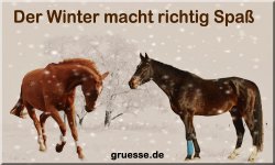 grusskarte-zeiten-jahreszeit-winter-b_034