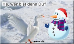 grusskarte-zeiten-jahreszeit-winter-b_040
