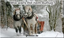 grusskarte-zeiten-jahreszeit-winter-b_044