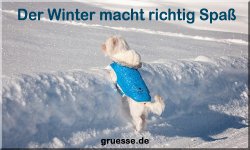 zeiten-jahreszeit-winter_026