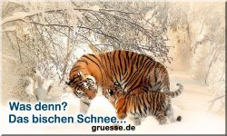 zeiten-jahreszeit-winter_029