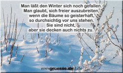grusskarte-zeiten-jahreszeit-winter-zitate-b_005