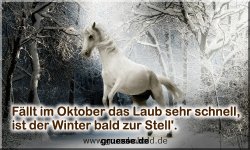 grusskarte-zeiten-jahreszeit-winter-zitate-b_006
