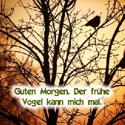 zeiten-guten-morgen_003