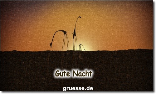 grusskarte-zeiten-gute-nacht-b_030