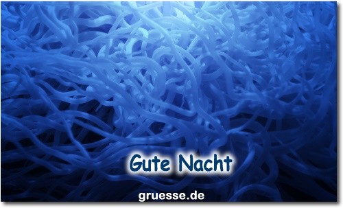 zeiten-gute-nacht_084