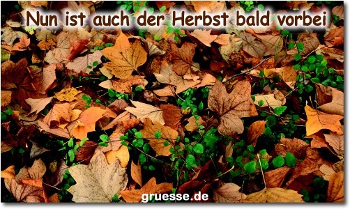 grusskarte-zeiten-jahreszeit-herbst-b_013