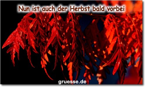 grusskarte-zeiten-jahreszeit-herbst-b_015