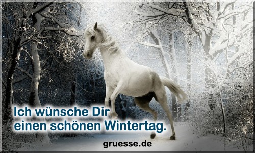 grusskarte-zeiten-jahreszeit-winter-b_025