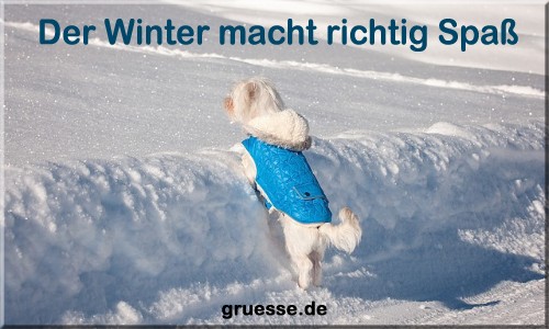 grusskarte-zeiten-jahreszeit-winter-b_026