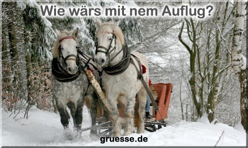 grusskarte-zeiten-jahreszeit-winter-b_044