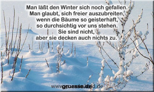grusskarte-zeiten-jahreszeit-winter-zitate-b_005