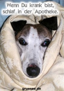 grusskarte diverses bloede sprueche 012