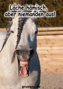 grusskarte diverses bloede sprueche 015