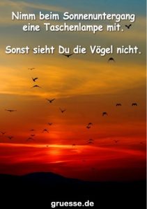 grusskarte diverses bloede sprueche 016