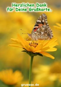 grusskarte diverses danke 007