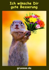 grusskarte diverses gute besserung 002