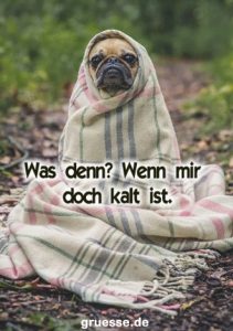 grusskarte diverses spass 005