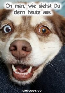 grusskarte diverses spass 006