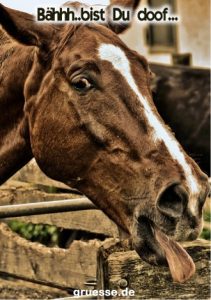 grusskarte diverses spass 011