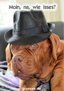 grusskarte diverses spass 012