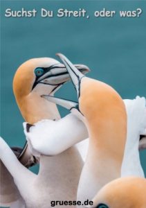 grusskarte diverses streit 001