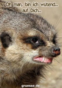 grusskarte diverses streit 005