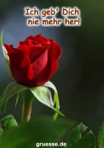 grusskarte herzensgruesse liebe 017