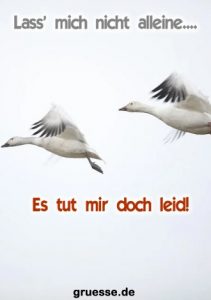 grusskarte herzensgruesse liebe 018