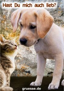 grusskarte herzensgruesse liebe 028