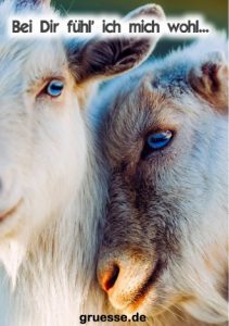 grusskarte herzensgruesse liebe 040